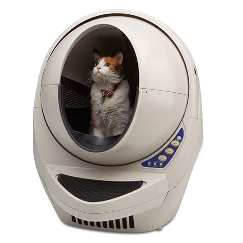 best cat litter for electric cat box|affordable automatic cat litter box.